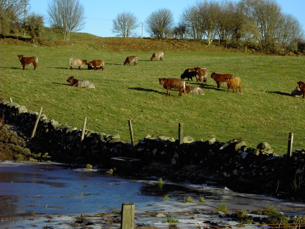 Nest Callander, Trossachs Self-catering *