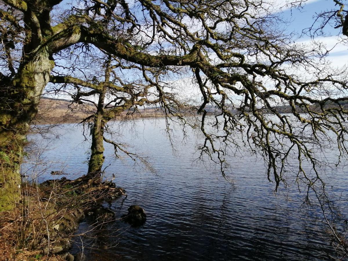 Nest Callander, Trossachs Self-catering Apartment