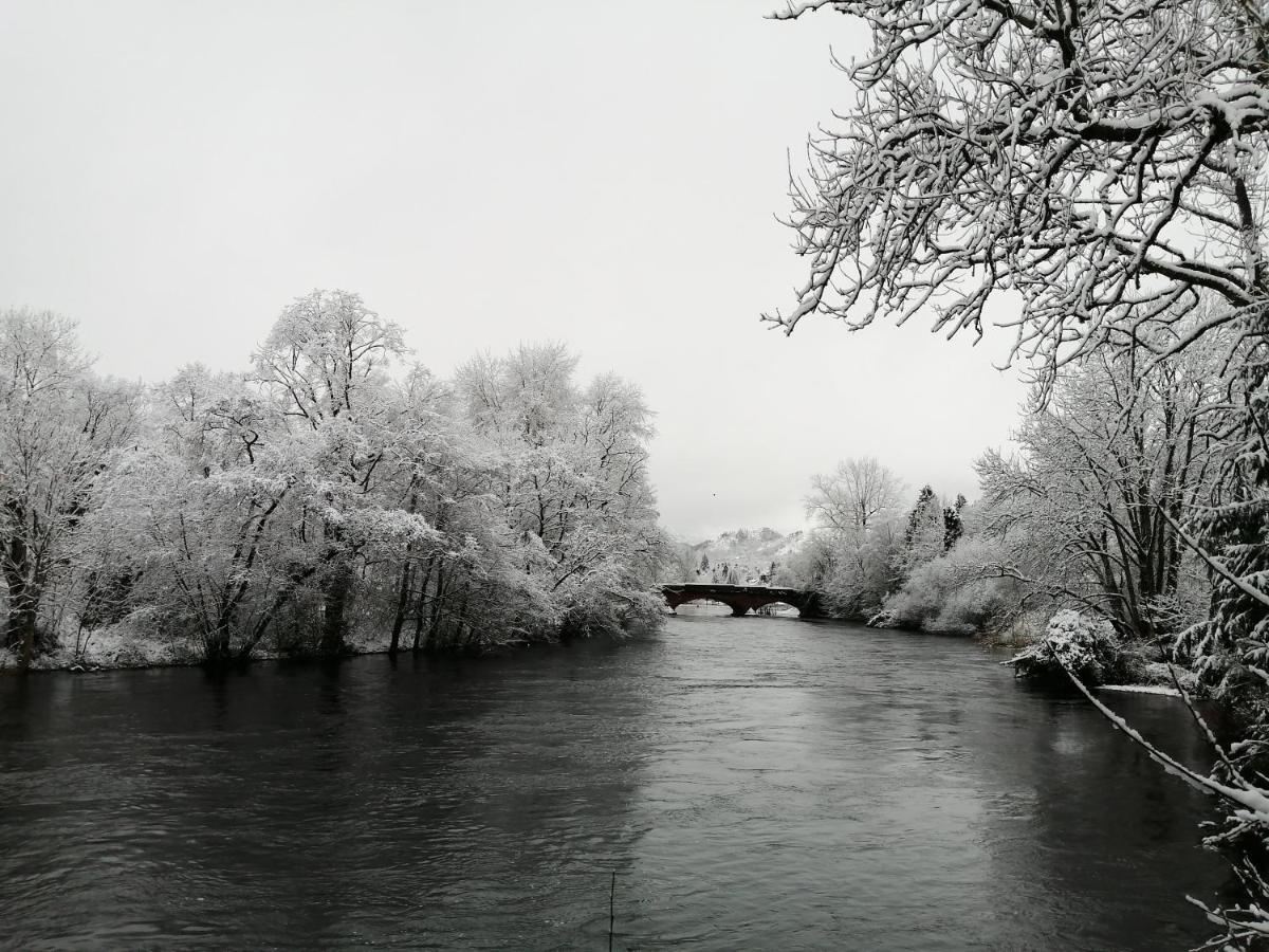 Nest Callander, Trossachs Self-catering Apartment