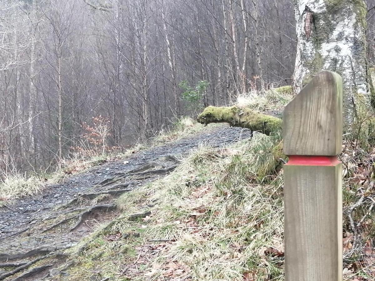 Nest Callander, Trossachs Self-catering Appartamento *